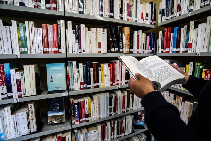 Bibliothèque livres Spay